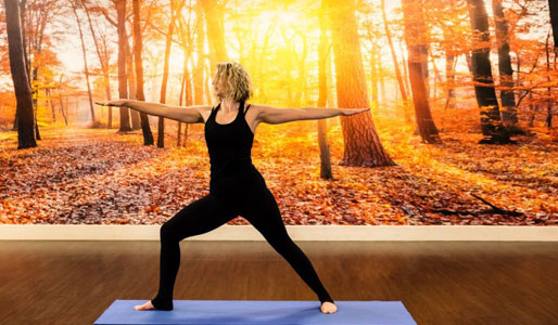 Image of woman in warrior yoga pose